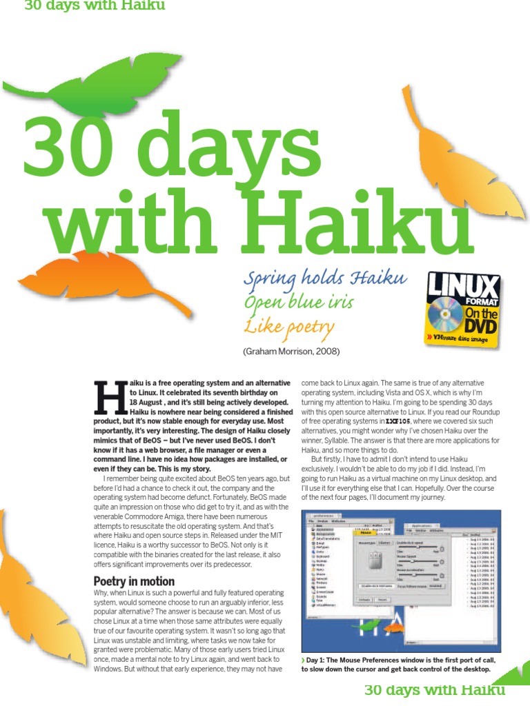 30 Days With Haiku OS | Operating System | Desktop Environment