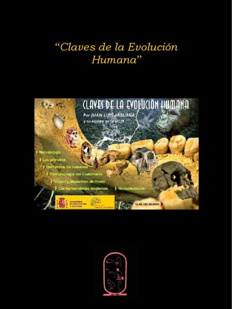 Esporas Cosa Nostra (@esporascosanostra) • Instagram photos and videos, image size:768x1024