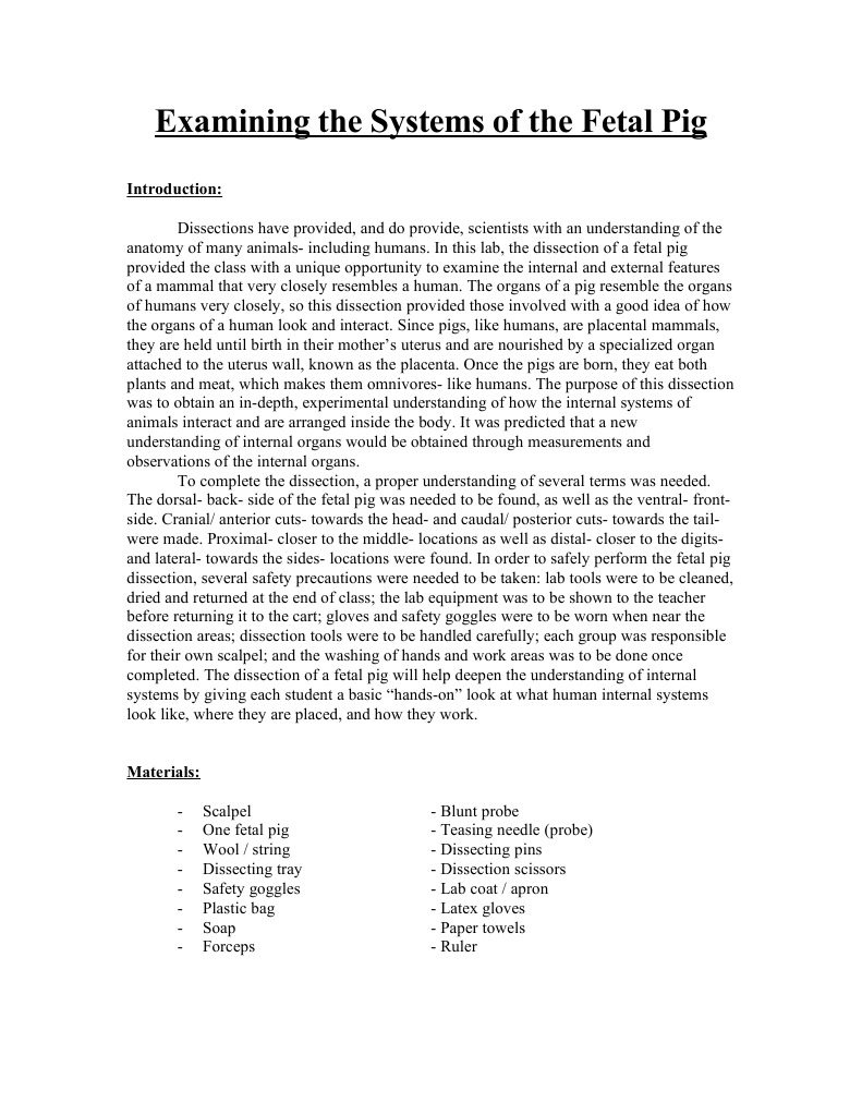 Biology Formal Lab - Fetal Pig Dissection | PDF | Gastrointestinal ...