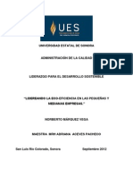 Lectura 3. LIDEREANDO LA ECO-EFICIENCIA EN LAS PEQUEÑAS Y MEDIANAS EMPRESAS