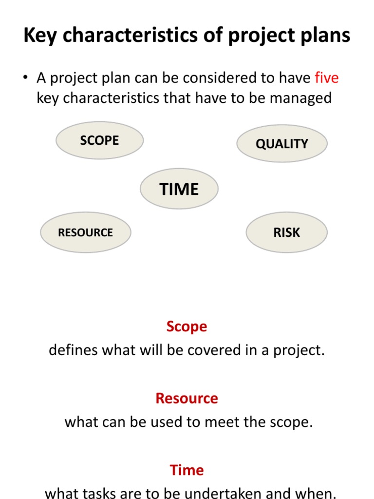 Key Characteristics of Project Plans | PDF | Computing | Business