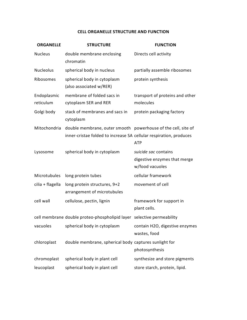 Cell Organelle Structure and Function | PDF
