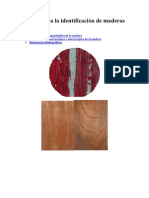 Manual para la identificación de maderas forestales