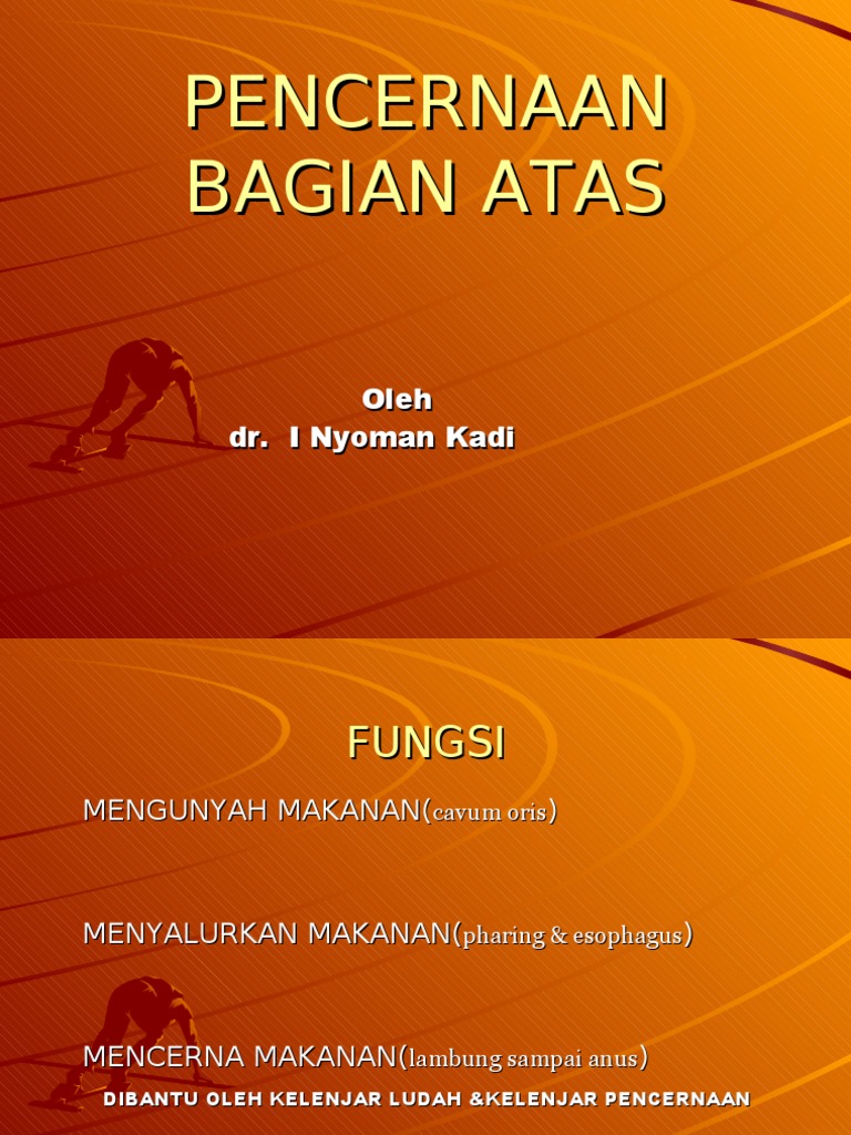 Sistem Pencernaan Atas