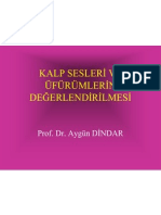 Kalp Sesleri ve Üfürümlerin Değerlendirilmesi