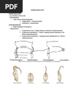Download Hemo Flagellate s by Isabel Brazil SN108460355 doc pdf