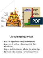 Ciclos biogeoquímicos