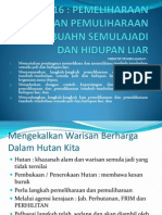 UNIT 16 Pemeliharaan Dan Pemuliharaan Tumbuhan Semulajadi Dan Hidupan Liar