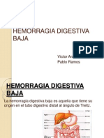 Hemorragia Digestiva