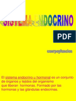 Sistema Endocrino