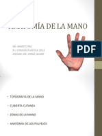 Tema 9 Anatomia de La Mano I