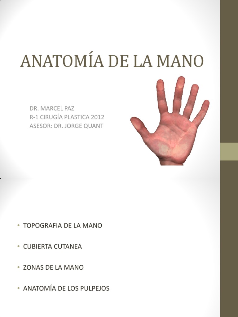 Tema 9 Anatomia de La Mano i | Mano | Piel