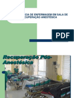 A Assistência de Enfermagem em Sala de Recuperação Anestésica