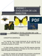 UNIDAD 1 Zoologia