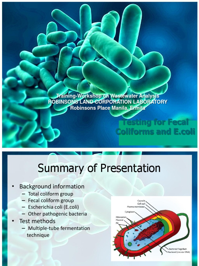 Fecal Coliform Testing Workshop Guide | PDF | Escherichia Coli ...