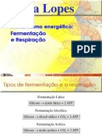 Respiração celular - Glicolise