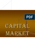 25013906 Capital Market