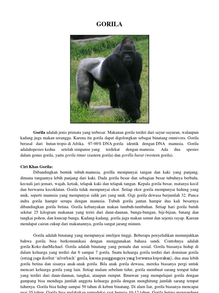 Hewan Langka | PDF | Griya \u0026 Taman | Fiksi Umum, image size:768x1024