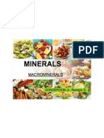 Macro Minerals