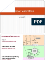 Caden a Respirator i A