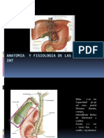 Anatomia y Fisiologia de Las Vias Biliares