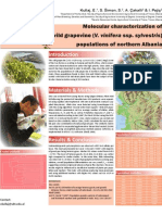 Molecular Characterization of Wild Grapevine (Vitis vinifera ssp. sylvestris) Populations of Northern Albaniar