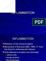 5 Inflammation