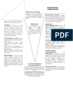 La V de Gowin de Avances Cientificos