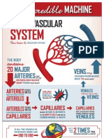 THI Incredible Machine Cardiovascular System