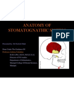 Anatomy of Stomatognathic System