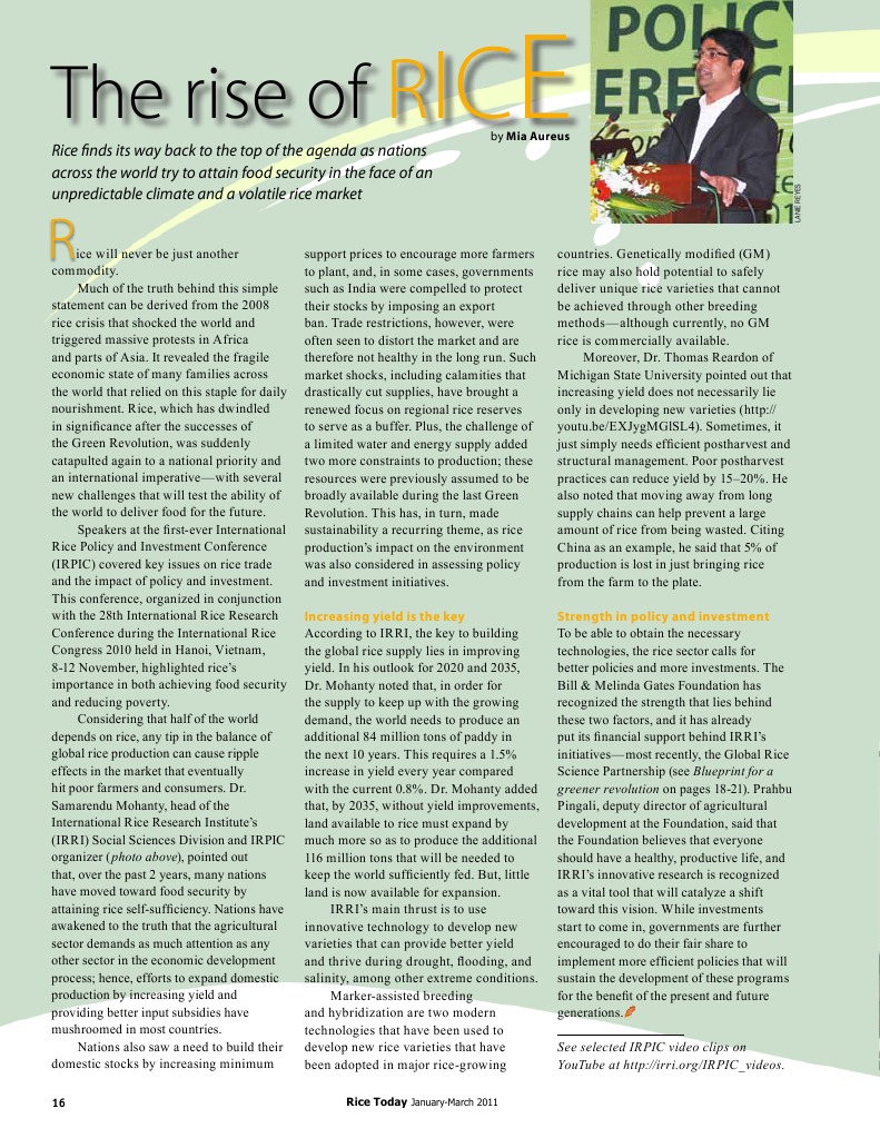 Global Rice Security and Yield Challenges | PDF | Rice | International ...