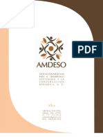 Carpeta Presentacion AMDESO AC - Final