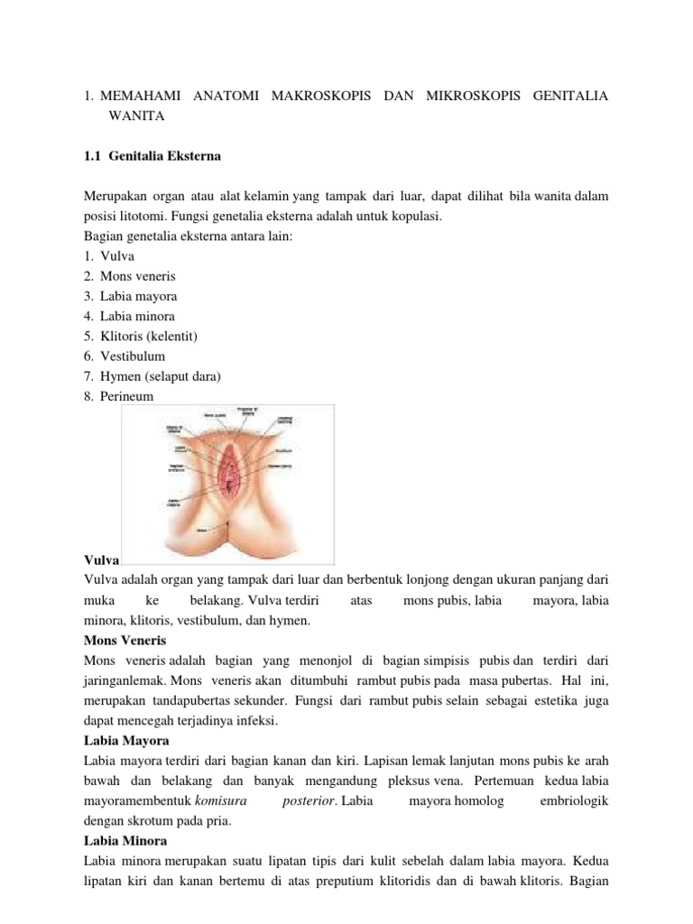 Sk1 Keputihan Pdf