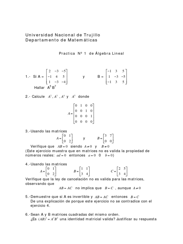 Practica de Matrices | PDF | Matriz (Matemáticas) | Física teórica