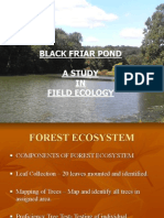 Black Friar Pond A Study IN Field Ecology: Picture by Matt Avellino