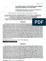 Isolasi Dan Identifikasi Escherichia Coli