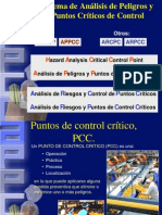 Puntos Críticos de Control de La Produccion de Carne para Hamburguesas