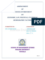 Final Report On Businee Enviernment