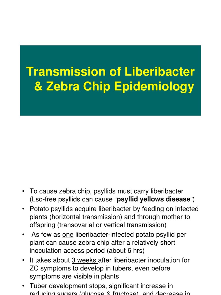 Zebra Chip Disease and Liberibacter | PDF | Agriculture | Wellness