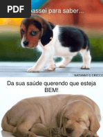(FL)Cachorrada
