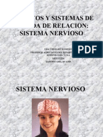 Sistema Nervioso Enfermeria