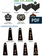 Badges of Rank