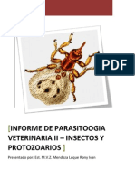 Informe de Parasito 2 Ultimo Insectos Protozoarios