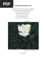Download HAHNEMANNS HEAVENLY ROSE pdf by SarahSchall SN108948863 doc pdf