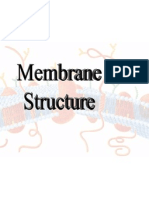 6 - Cell Biology - Membrane Structure-1