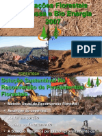 Soluções sustentáveis de biomassa e bioenergia