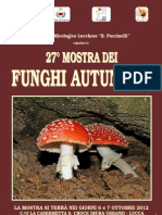 26° mostra autunnale dei funghi