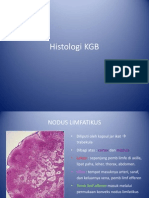 Histologi Kelenjar Getah Bening