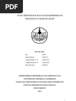 Download Epidemiologi Kejadian Luar Biasa Jadi by Vebryantoni Ade Saputra SN108981071 doc pdf