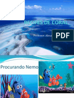 Recifes de Coral